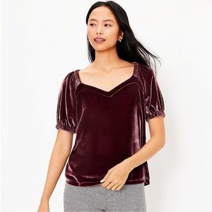 LOFT Crushed Velvet Mauve V-neck Blouse